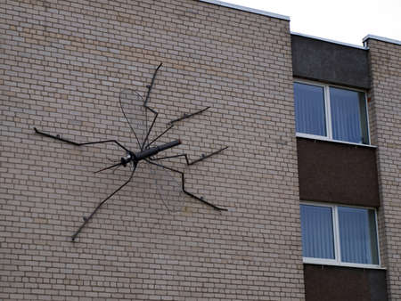 Pakruojis, LITHUANIA - MAY 1,2010 - Sculpture of a mosquito on a residential building.のeditorial素材