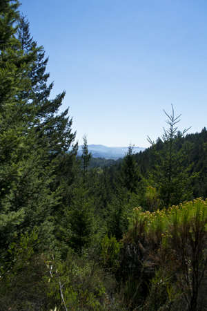 Napa Valley Hillsの写真素材