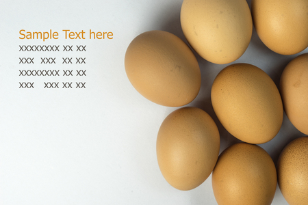 Hen Egg isolate on white background