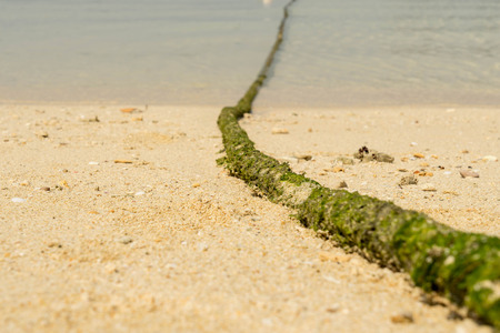 safety rope for take a boat to stay in the sea on the beach