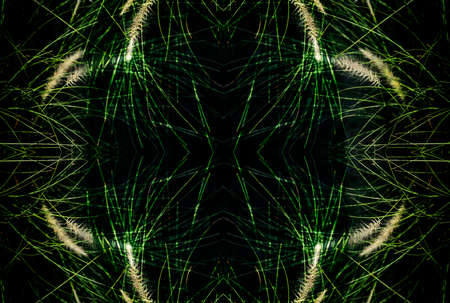 abstract green line by wheat tree mirror techniques pattern - can use to display or montage on...
