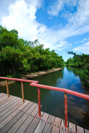 river in thailandの写真素材