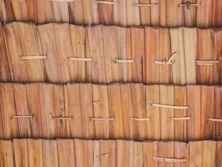 Texture of roof made from nipa palm