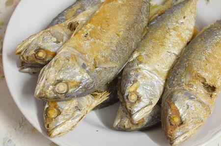 mackerel fire