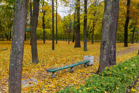 bench in park on autumnの写真素材