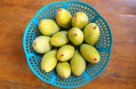 mango fruitの写真素材
