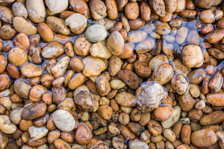River stones 