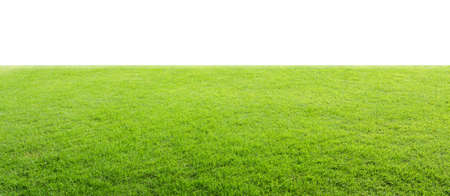 Green field isolated の写真素材