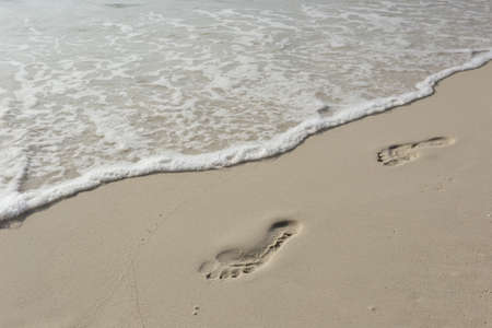 Lonely footprints on tropical beachの写真素材