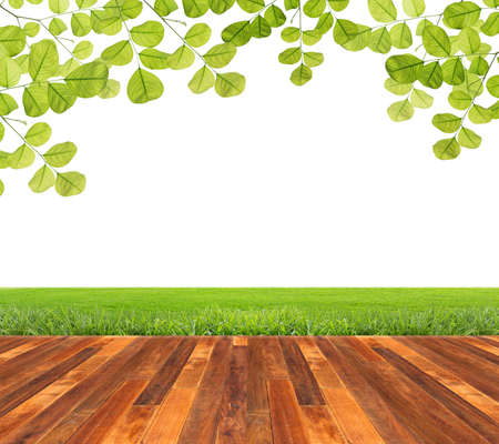 Wooden floor with green leaves and green grass isolated.の写真素材