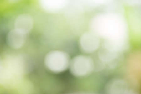 green abstract nature backgroundの写真素材