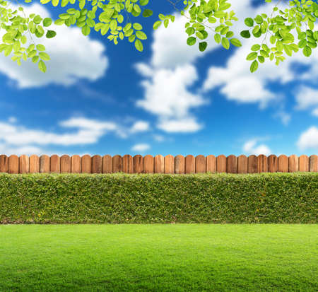 Garden background.の写真素材