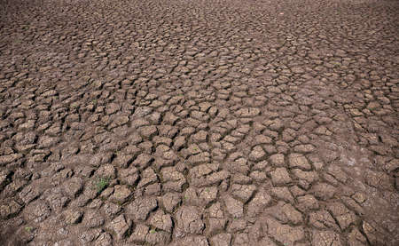 Drought land