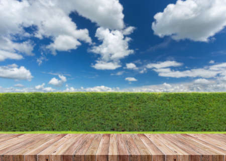 Table in garden backgroundの写真素材