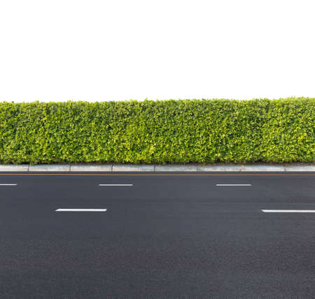 Roadside view and tall hagdeの写真素材