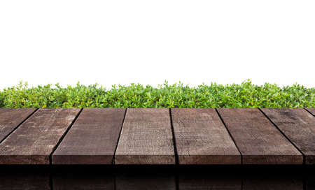 Empty wood table top with Green leaves background.For product displayの写真素材