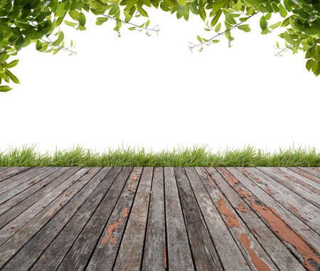 Wooden floor with green leaves and green grass isolated.の写真素材