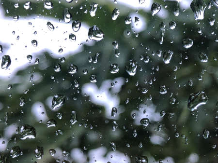 Rain drops on the window in the tree on the background.の写真素材