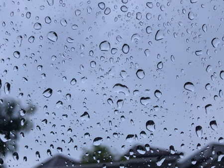 Rain drops on the window in the tree on the background.の写真素材