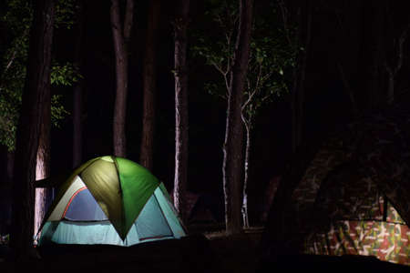 Light from a tent camp in a pine forest.の写真素材