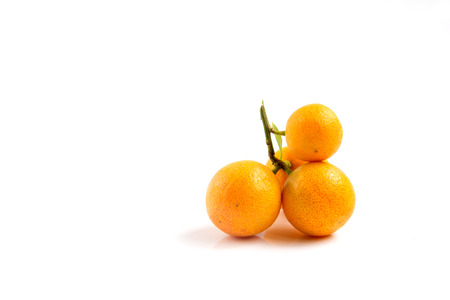 Orange Kumquat placed on whte backgroundの写真素材
