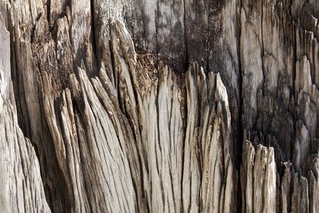Rough cracked wood plate texture background