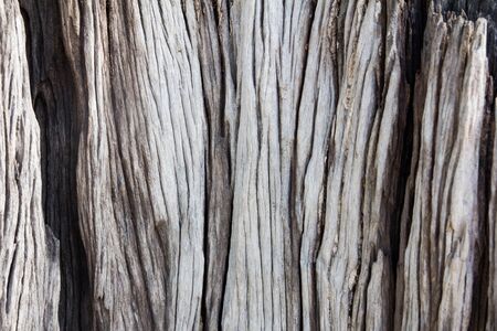 Rough cracked wood plate texture backgroundの写真素材