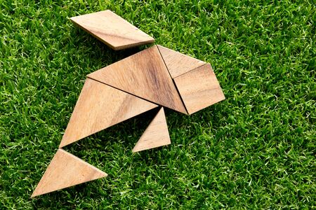 Wooden tangram puzzle in fish shape on green grass backgroundの写真素材