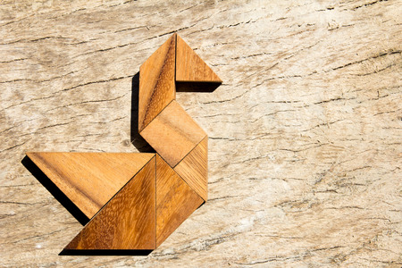 Wooden tangram puzzle in swan shape backgroundの写真素材