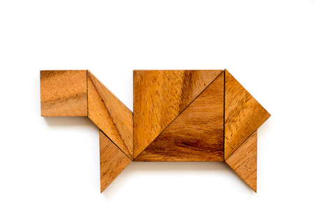 Wood tangram puzzle in turtle or tortoise shape on white backgroundの写真素材