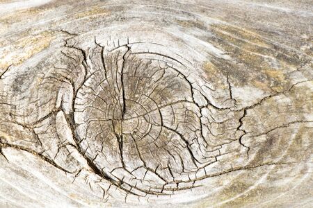 Closed up of gunge old brown wooden plate texture backgroundの写真素材