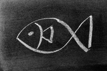 White color chalk drawing in fish shape on blackboard backgroundの写真素材