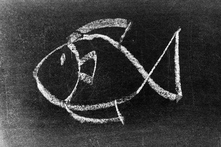 White color chalk hand drawing as fish shape on black board backgroundの写真素材