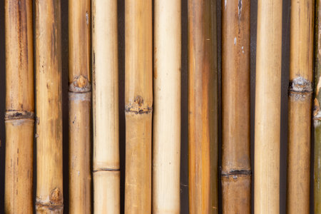 Grunge yellow bamboo plate textured background for decoration with copy spaceの写真素材