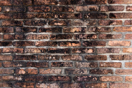 Grunge old and crack red color brick with black stain wall textured background.の写真素材