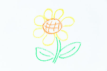 Color oil pastel hand drawing in flower shape on white paper backgroundの写真素材