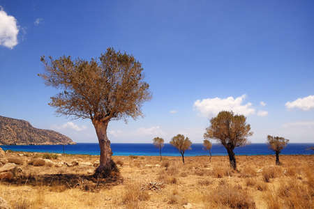 Beautiful greece wonderful island and sea.の写真素材