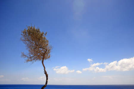 Beautiful greece wonderful island and sea.の写真素材