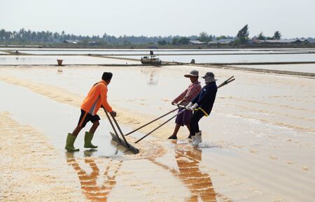 PHETCHABURI, THAILAND - MARCH 13, 2015 : Salt farming career in Phetchaburi ,Thailandのeditorial素材