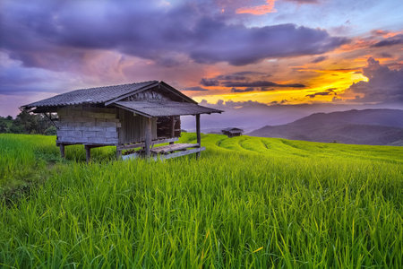 Beautiful terrace rice fields in Mae chaem, Chiang mai Thailandの写真素材