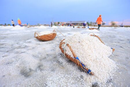 Salt farming career in Phetchaburi Thailandの写真素材