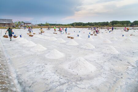 Salt farming career in Phetchaburi Thailandのeditorial素材