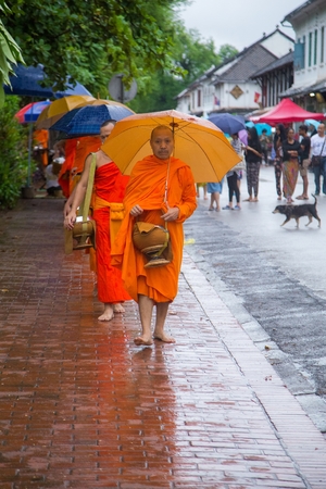 LUANG PRABANG LAOS  JUNE 9 2015 : Unidentified monks walk to collect alms and offerings on June 9 2015 Laos. This procession is held every day in Luang prabang in the early morningのeditorial素材