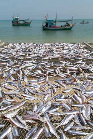 Dried Seafood at Thai Sea in Thailandの写真素材