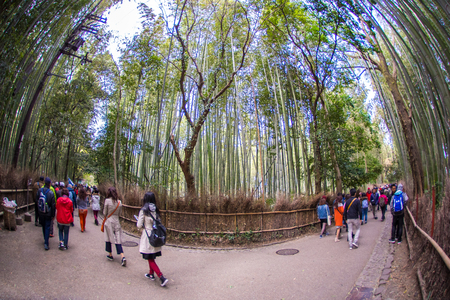 KYOTO, JAPAN - MARCH 24, 2016 : Path to bamboo forest, Arashiyama, Kyoto, Japanのeditorial素材