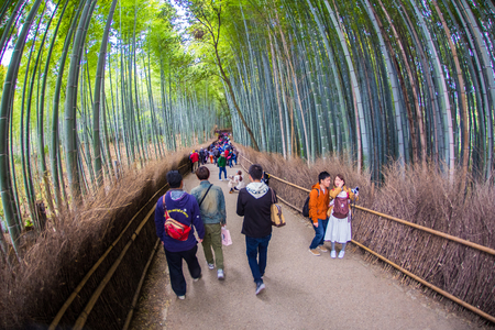KYOTO, JAPAN - MARCH 24, 2016 : Path to bamboo forest, Arashiyama, Kyoto, Japanのeditorial素材