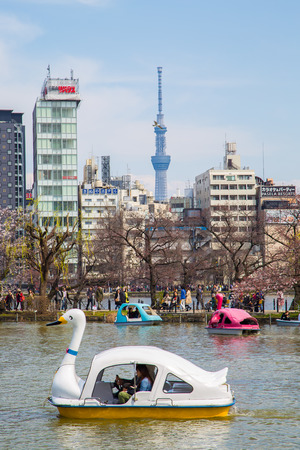 TOKYO, JAPAN - MARCH 29: Boats on Shinobazu Pond at Ueno Park on March 29, 2016 in Tokyo, Japan....
