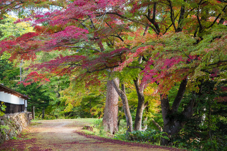 Enzoji Temple at Japanのeditorial素材