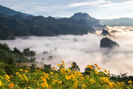 Morning fog on sunrise in the Phulanka, Phayaoの写真素材