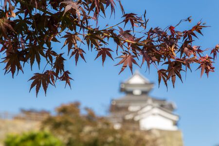 Komine Castle,Fukushima Japan